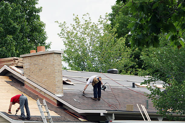 Best Roof Moss and Algae Removal  in Millington, TN